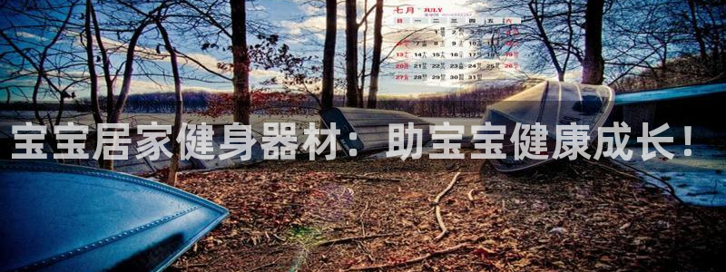 意昂3娱乐网站：宝宝居家健身器材：助宝宝健康成长！