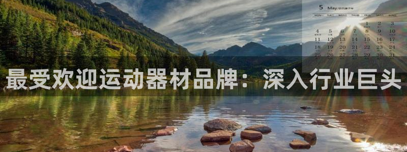 意昂体育3：最受欢迎运动器材品牌：深入行业巨头