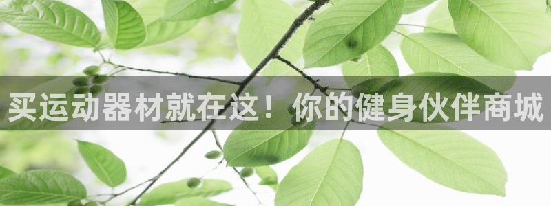意昂3娱乐是那个系列的台子：买运动器材就在这！你的健