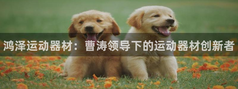 意昂3集团官网网址：鸿泽运动器材：曹涛领导下的运动器