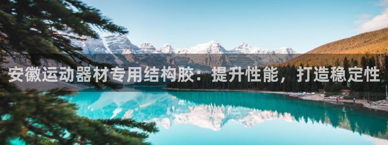 意昂体育3平台注册流程视频：安徽运动器材专用结构胶：
