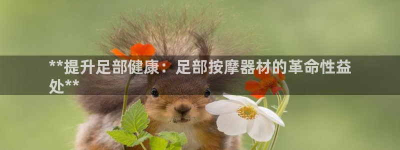 德国意昂3集团：**提升足部健康：足部按摩器材的革命