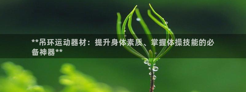 意昂体育3平台注册要钱吗：**吊环运动器材：提升身体