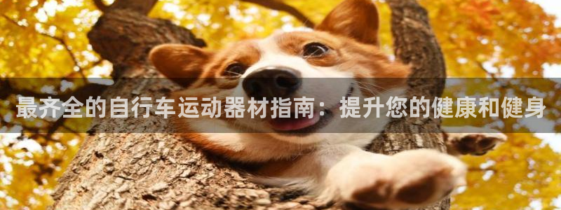意昂3娱乐平台：最齐全的自行车运动器材指南：提升您的