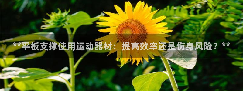 意昂体育3招商电话地址是多少：**平板支撑使用运动器