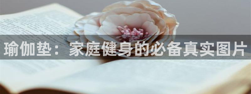 意昂3娱乐代理怎么样：瑜伽垫：家庭健身的必备真实图片