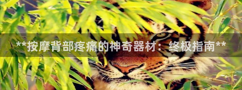 意昂3集团：**按摩背部疼痛的神奇器材：终极指南**