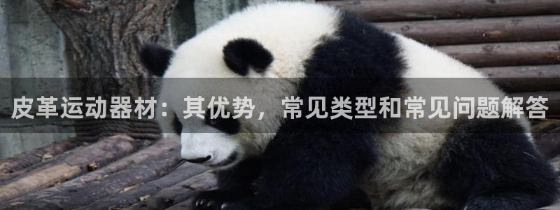 意昂体育3平台假的吗是真的吗吗：皮革运动器材：其优势