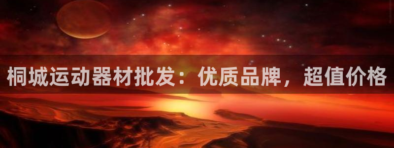 意昂3娱乐40996：桐城运动器材批发：优质品牌，超
