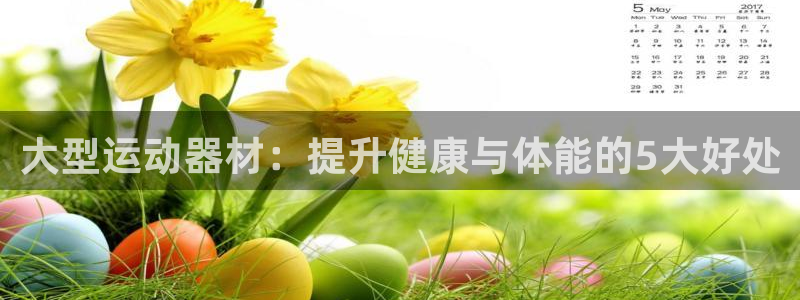 意昂体育3招商：大型运动器材：提升健康与体能的5大好