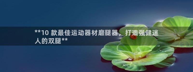 意昂体育3招商电话号码：**10 款最佳运动器材磨腿