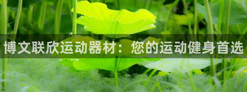 海南意昂体育3：博文联欣运动器材：您的运动健身首选