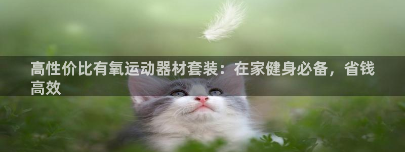 意昂3娱乐40996：高性价比有氧运动器材套装：在家