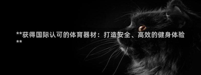 意昂体育3软件：**获得国际认可的体育器材：打造安全