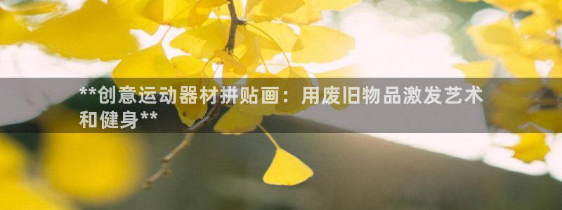 意昂3代理：**创意运动器材拼贴画：用废旧物品激发艺
