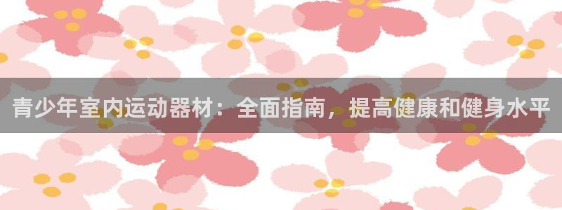 意昂3集团E.ON：青少年室内运动器材：全面指南，提