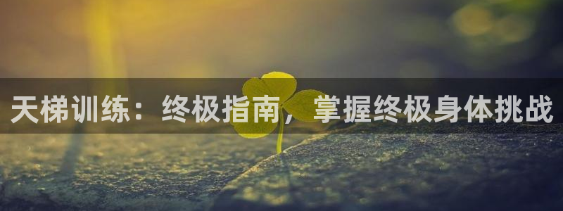 意昂体育3招商电话号码是多少：天梯训练：终极指南，掌