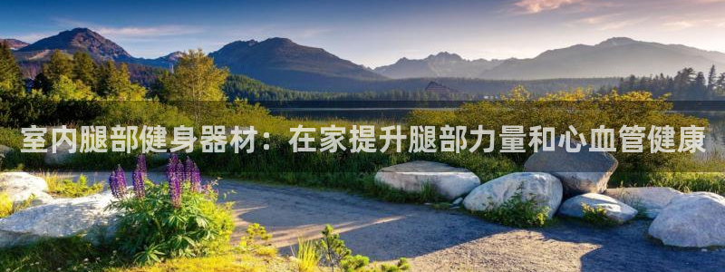 意昂体育3平台：室内腿部健身器材：在家提升腿部力量和