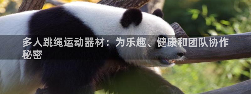 意昂3娱乐平台：多人跳绳运动器材：为乐趣、健康和团队