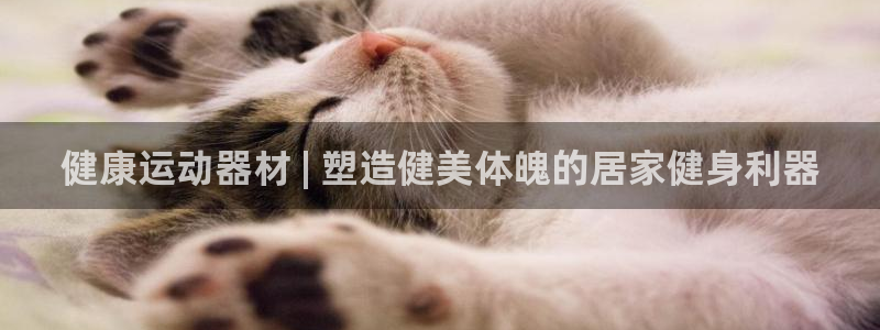 意昂3代理：健康运动器材 | 塑造健美体魄的居家健身