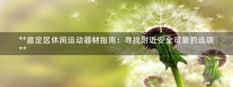 意昂3娱乐首页官网下载：**嘉定区休闲运动器材指南：