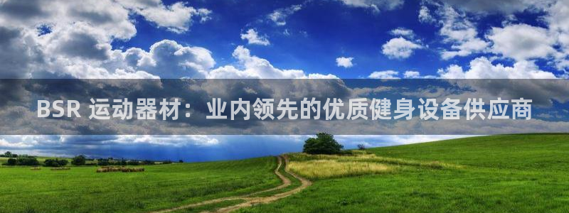 意昂体育3招商电话是多少号码：BSR 运动器材：业内