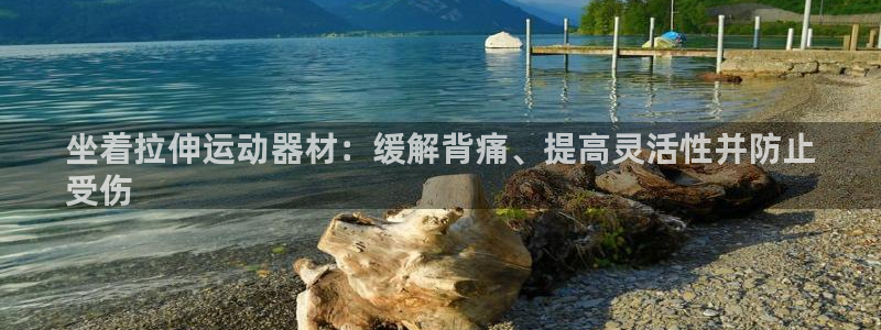 意昂体育3平台注册流程视频：坐着拉伸运动器材：缓解背