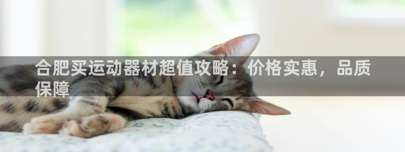 意昂体育3平台注册流程图：合肥买运动器材超值攻略：价