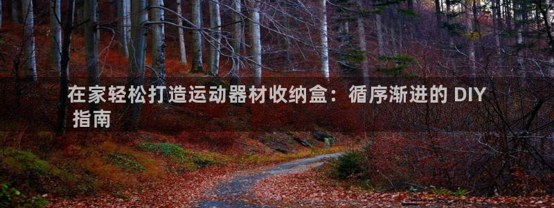 意昂3集团官网网址：在家轻松打造运动器材收纳盒：循序
