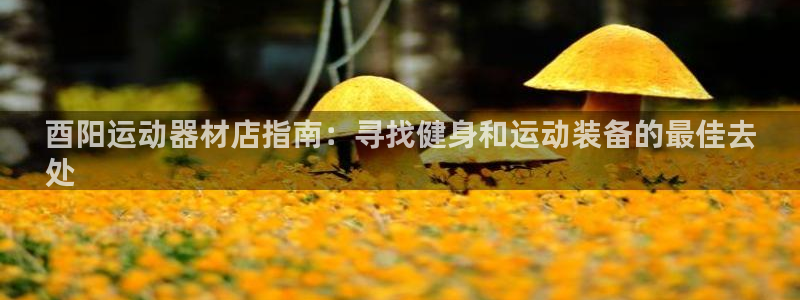 意昂体育3平台假的吗是真的吗：酉阳运动器材店指南：寻
