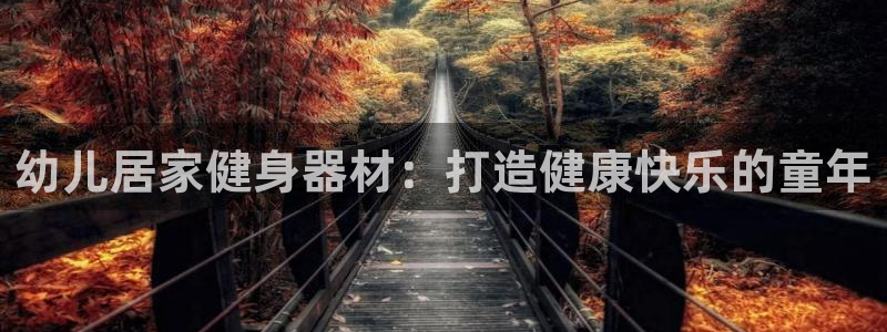 意昂3神州：幼儿居家健身器材：打造健康快乐的童年