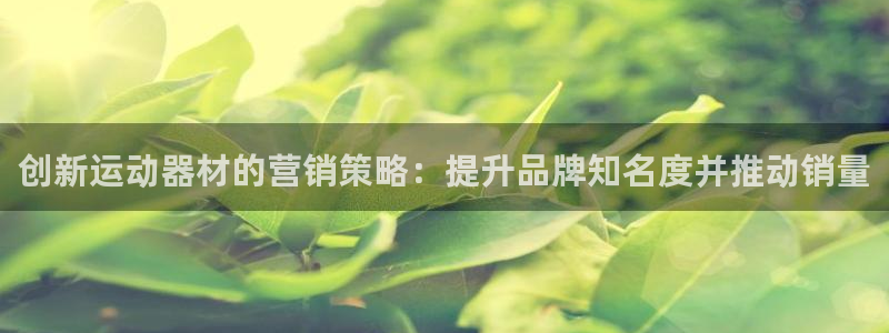意昂体育3平台是正规平台吗：创新运动器材的营销策略：