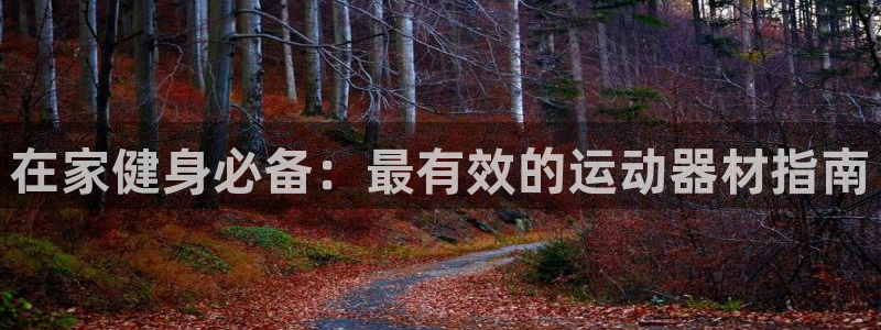 意昂平台体育：在家健身必备：最有效的运动器材指南