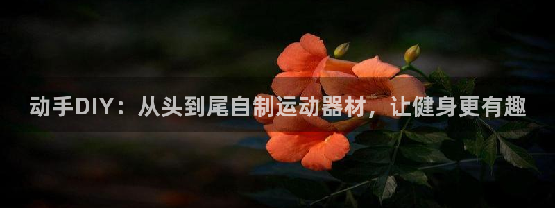 意昂体育3平台APP：动手DIY：从头到尾自制运动器