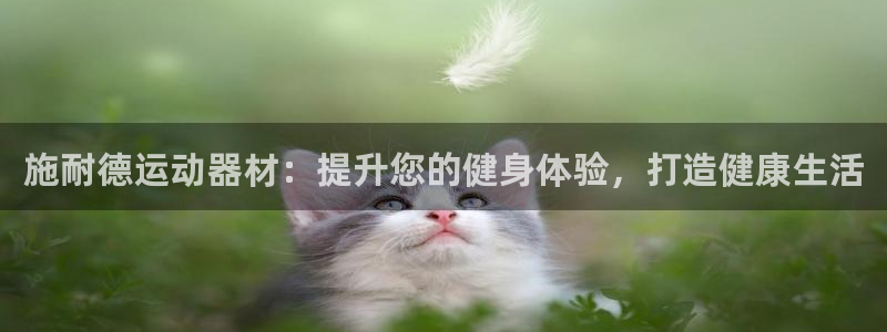 意昂3娱乐网站：施耐德运动器材：提升您的健身体验，打
