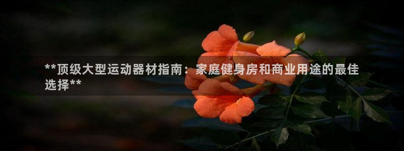 意昂3神州：**顶级大型运动器材指南：家庭健身房和商
