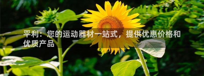 意昂体育3平台APP：平利：您的运动器材一站式，提供