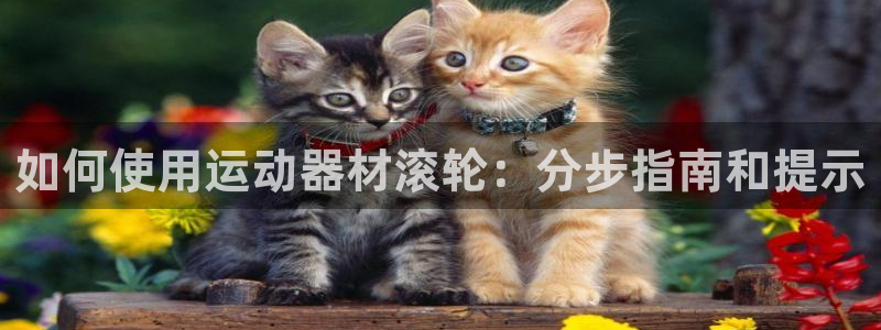 意昂体育3平台注册要钱吗安全吗：如何使用运动器材滚轮