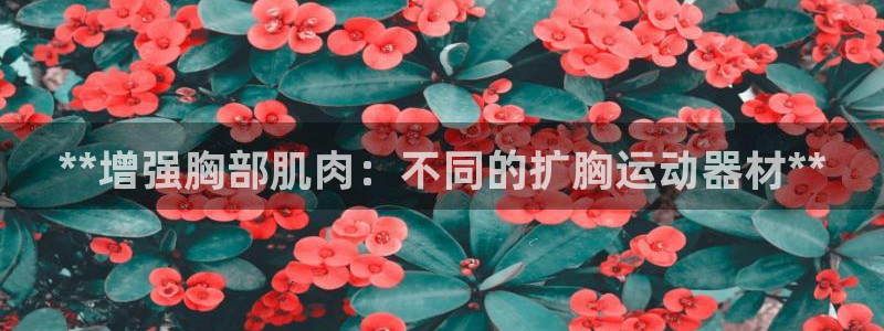 意昂3娱乐首页网站大全：**增强胸部肌肉：不同的扩胸