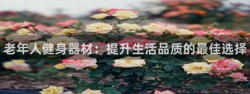 意昂体育3招商电话地址查询