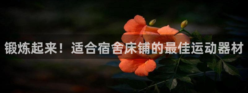 意昂3娱乐网站：锻炼起来！适合宿舍床铺的最佳运动器材