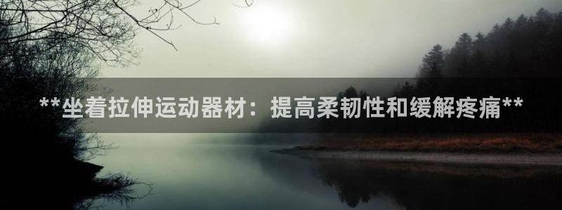 意昂集团官网：**坐着拉伸运动器材：提高柔韧性和缓解