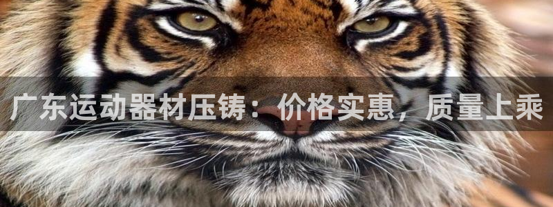 意昂体育3平台注册流程图：广东运动器材压铸：价格实惠