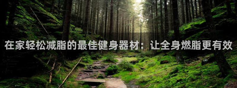 意昂3五金厂：在家轻松减脂的最佳健身器材：让全身燃脂