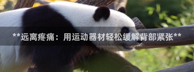 意昂体育3招商电话：**远离疼痛：用运动器材轻松缓解