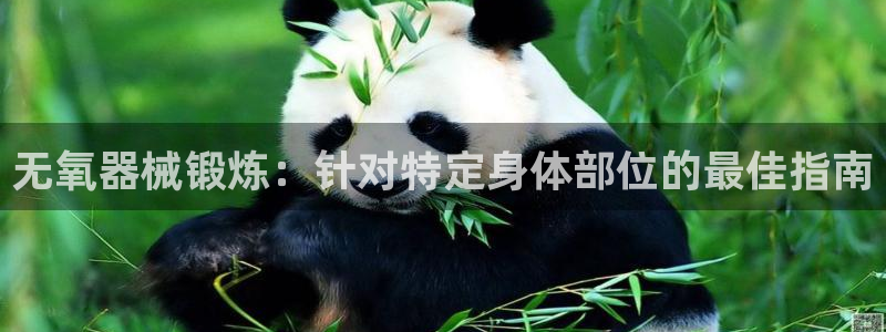 意昂3集团官网首页网址：无氧器械锻炼：针对特定身体部