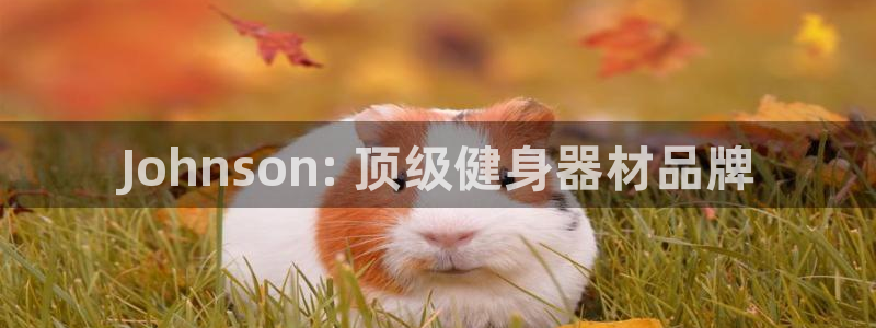 意昂体育3娱乐：Johnson: 顶级健身器材品牌