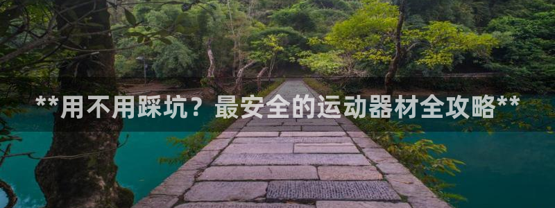 意昂3新能源：**用不用踩坑？最安全的运动器材全攻略