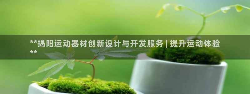 意昂3神州：**揭阳运动器材创新设计与开发服务 | 
