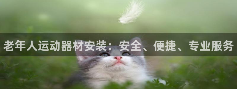 意昂体育3平台是正规平台吗：老年人运动器材安装：安全
